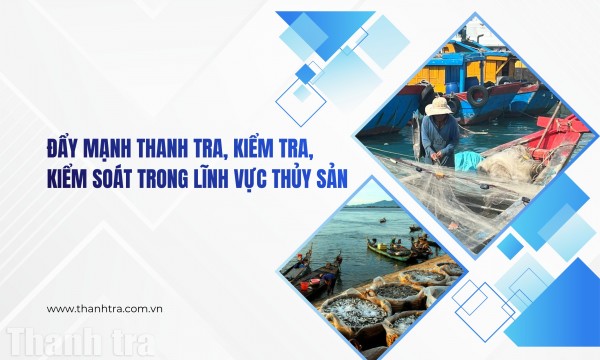 Đẩy mạnh thanh tra, kiểm tra, kiểm soát trong lĩnh vực thủy sản